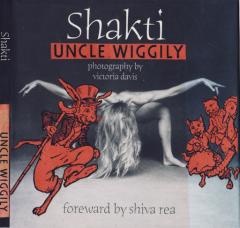 shakti uncle wiggily collage