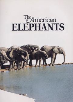 American Elephants collage