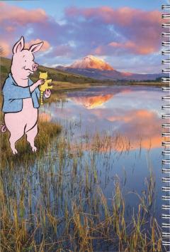 ubiquitous pig audubon calendar collage